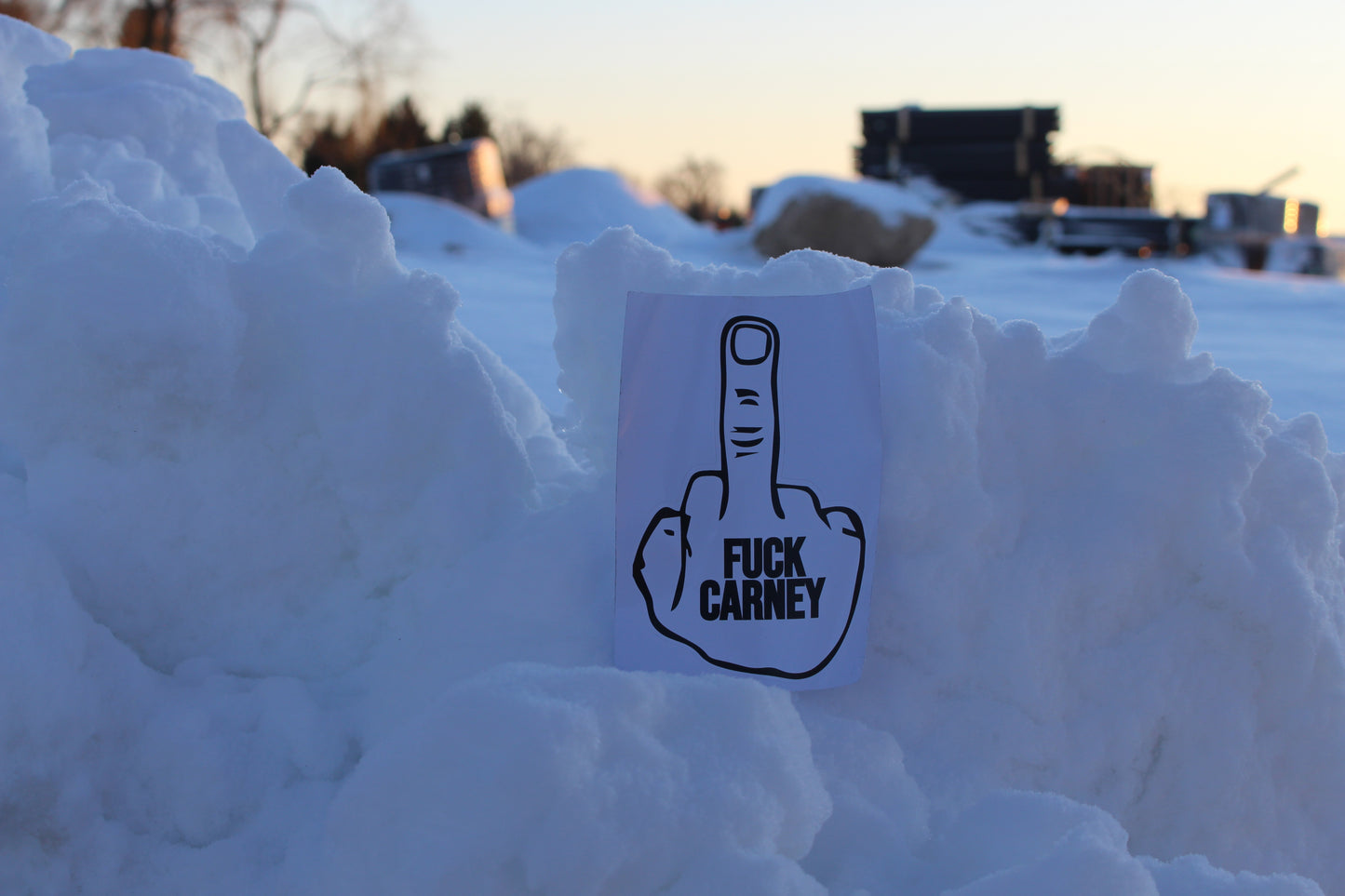 The Bird and a Clown - Sticker