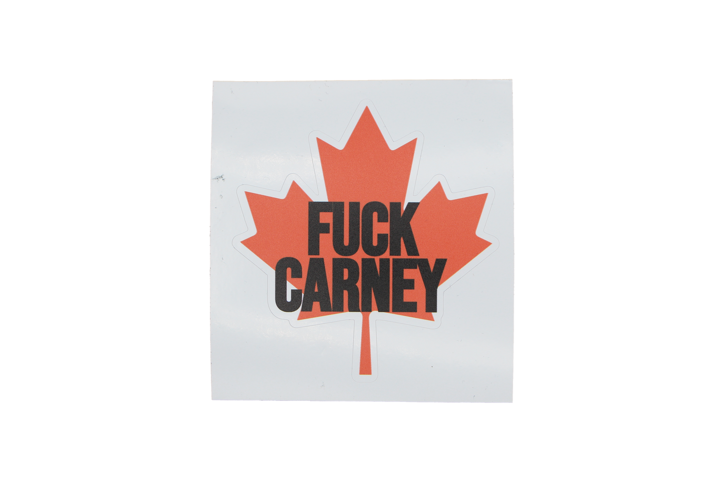 Fuck Carney - 3x3 Vinyl sticker