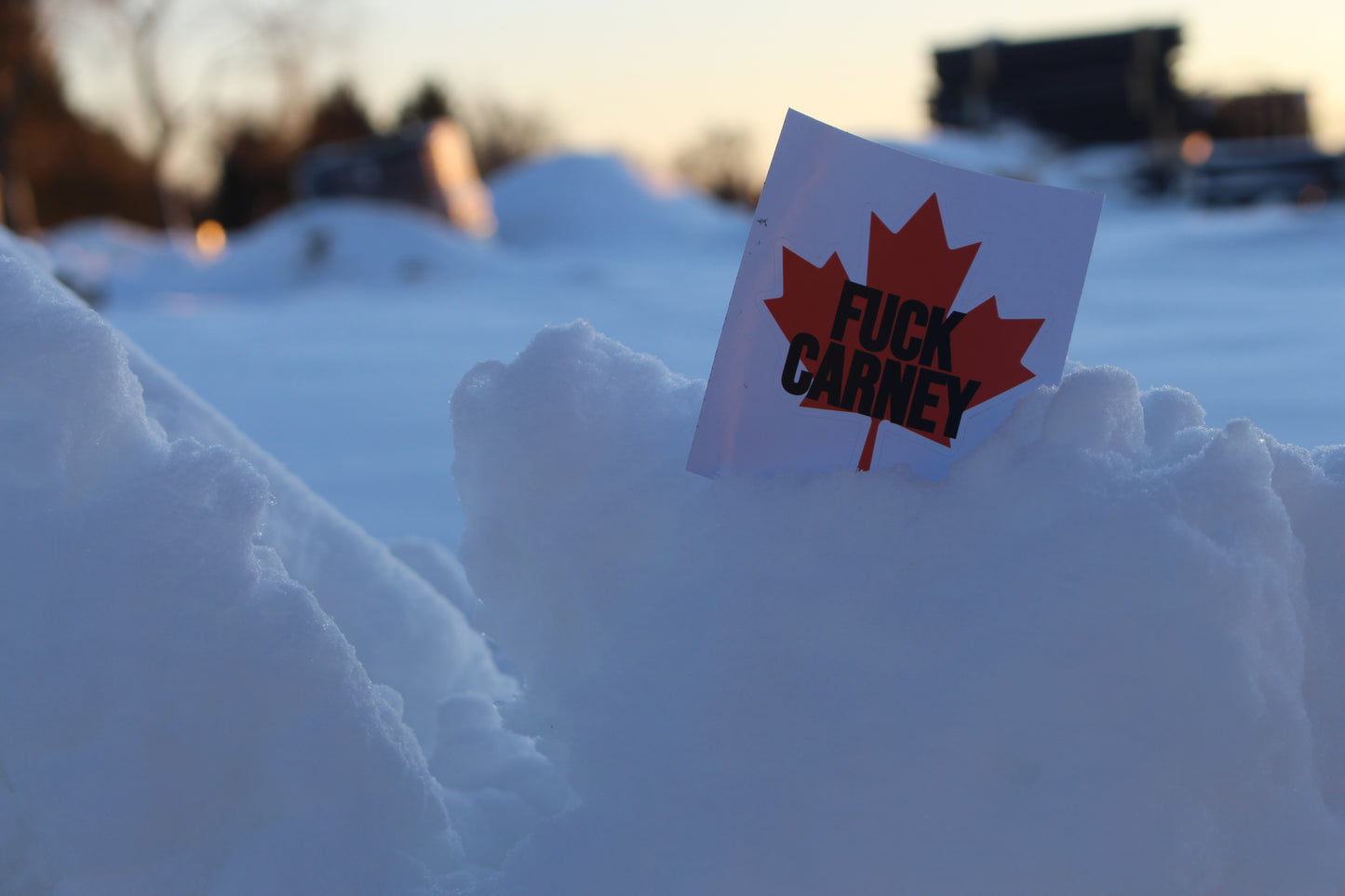 Fuck Carney - 3x3 Vinyl sticker